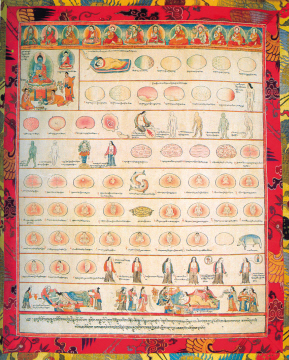 藏医药曼唐之胚胎学