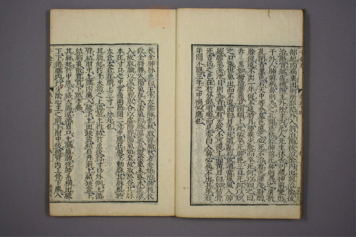 备急千金要方(第918页)