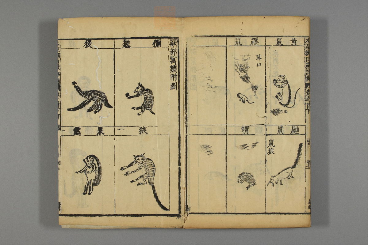 本草纲目(第132页)