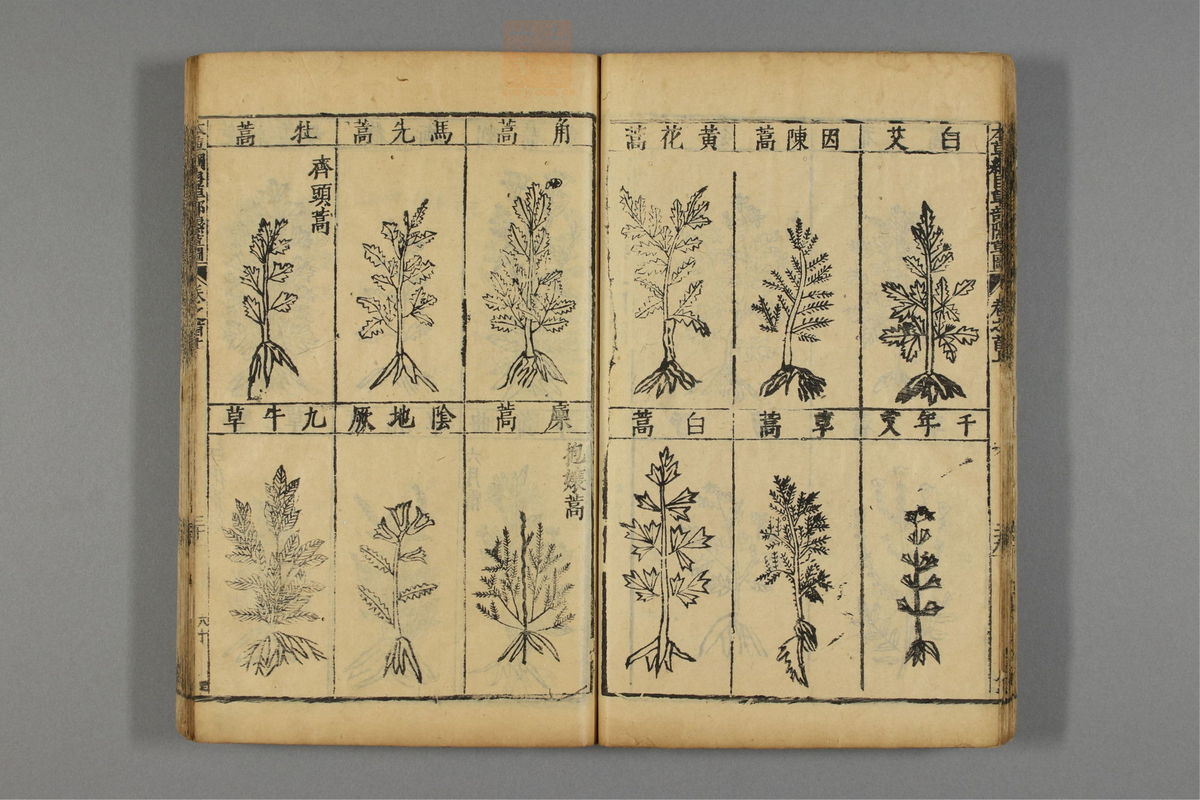 本草纲目(第48页)