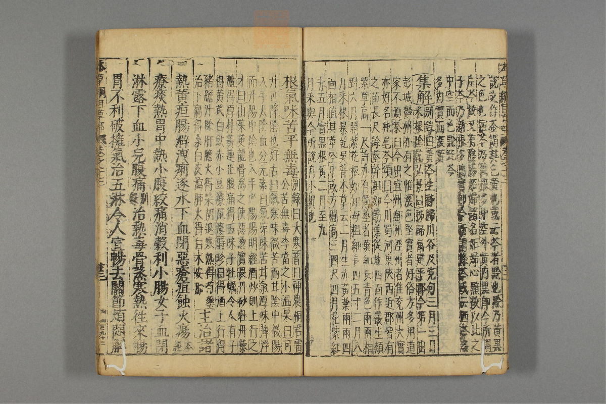 本草纲目(第1021页)