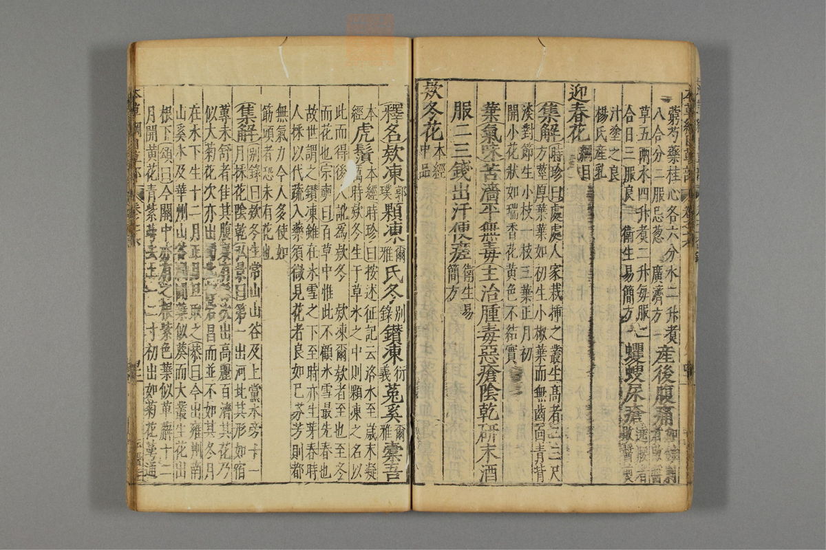 本草纲目(第1317页)