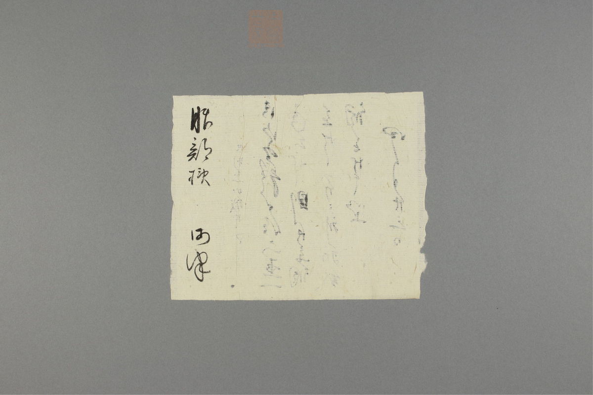 本草纲目(第1477页)