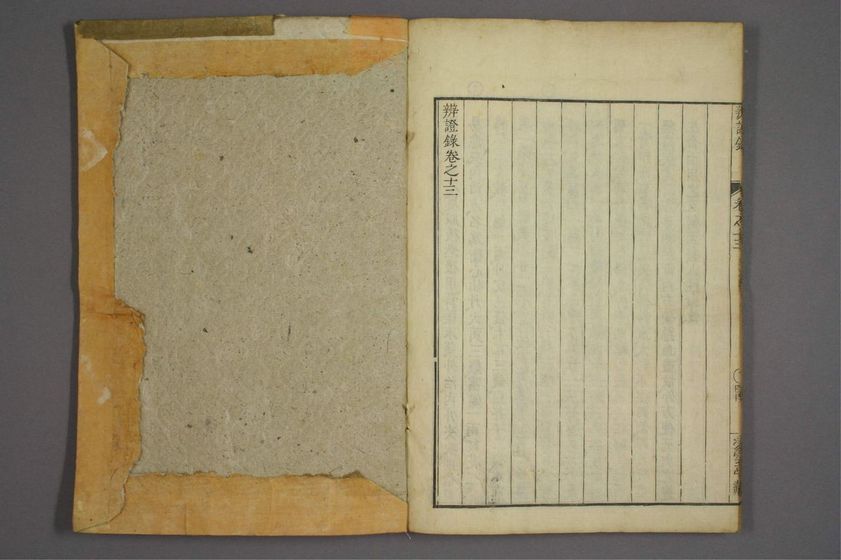 辨证录(第609页)