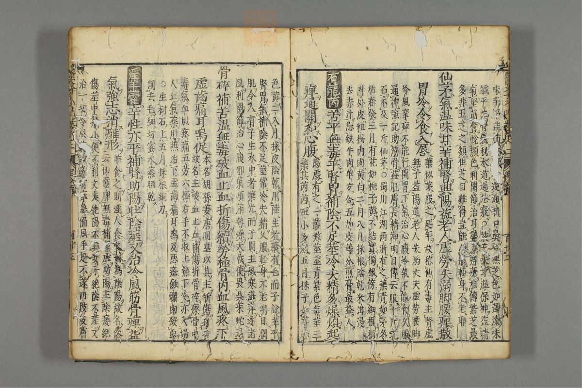 编注医学入门(第256页)