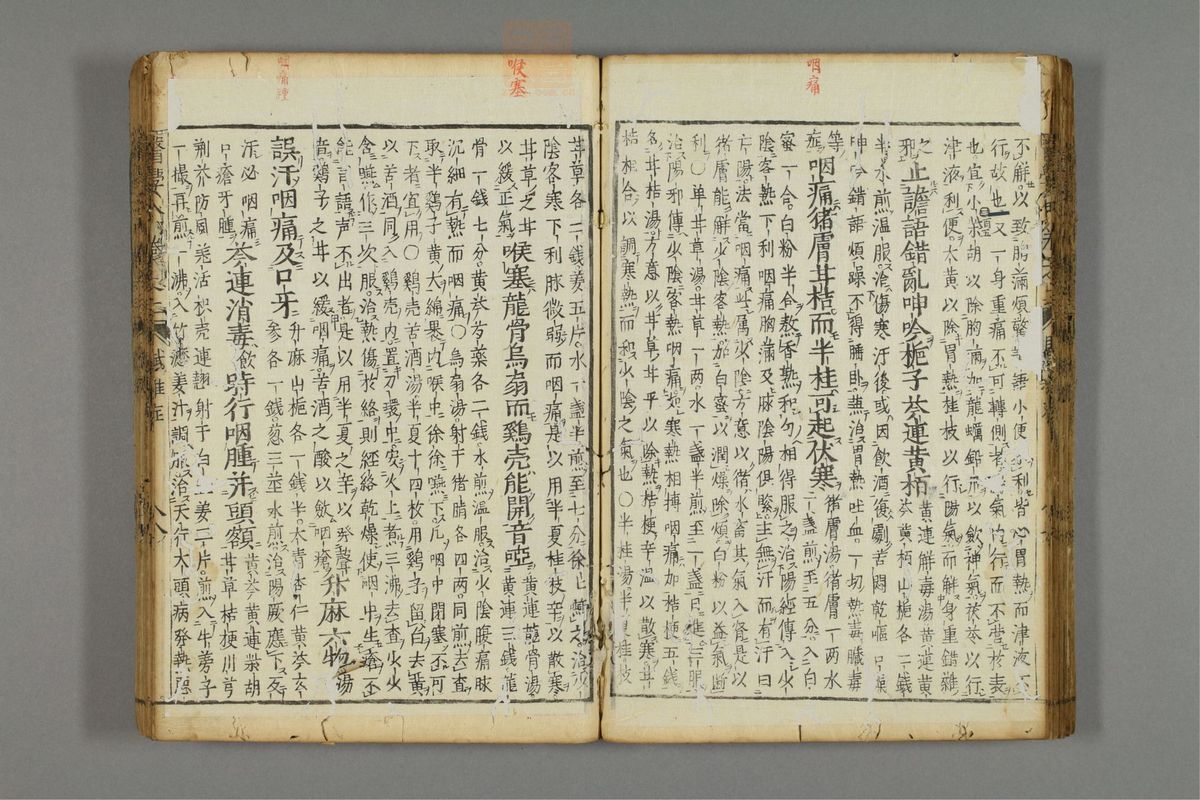 编注医学入门(第450页)
