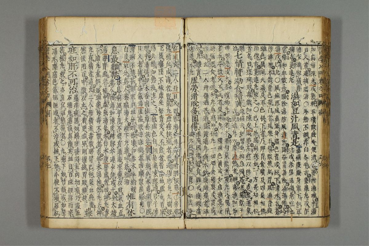 编注医学入门(第559页)