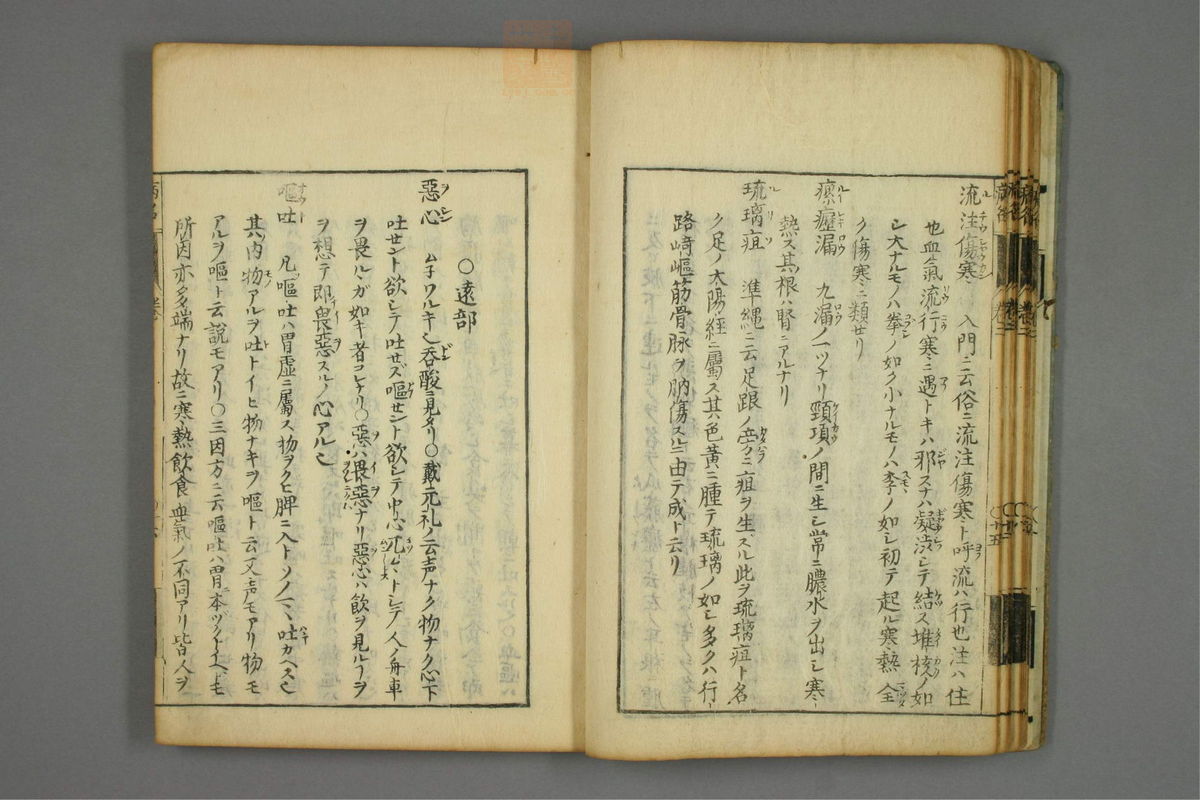 病名汇解(第107页)