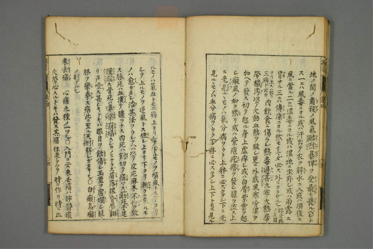 病名汇解(第169页)