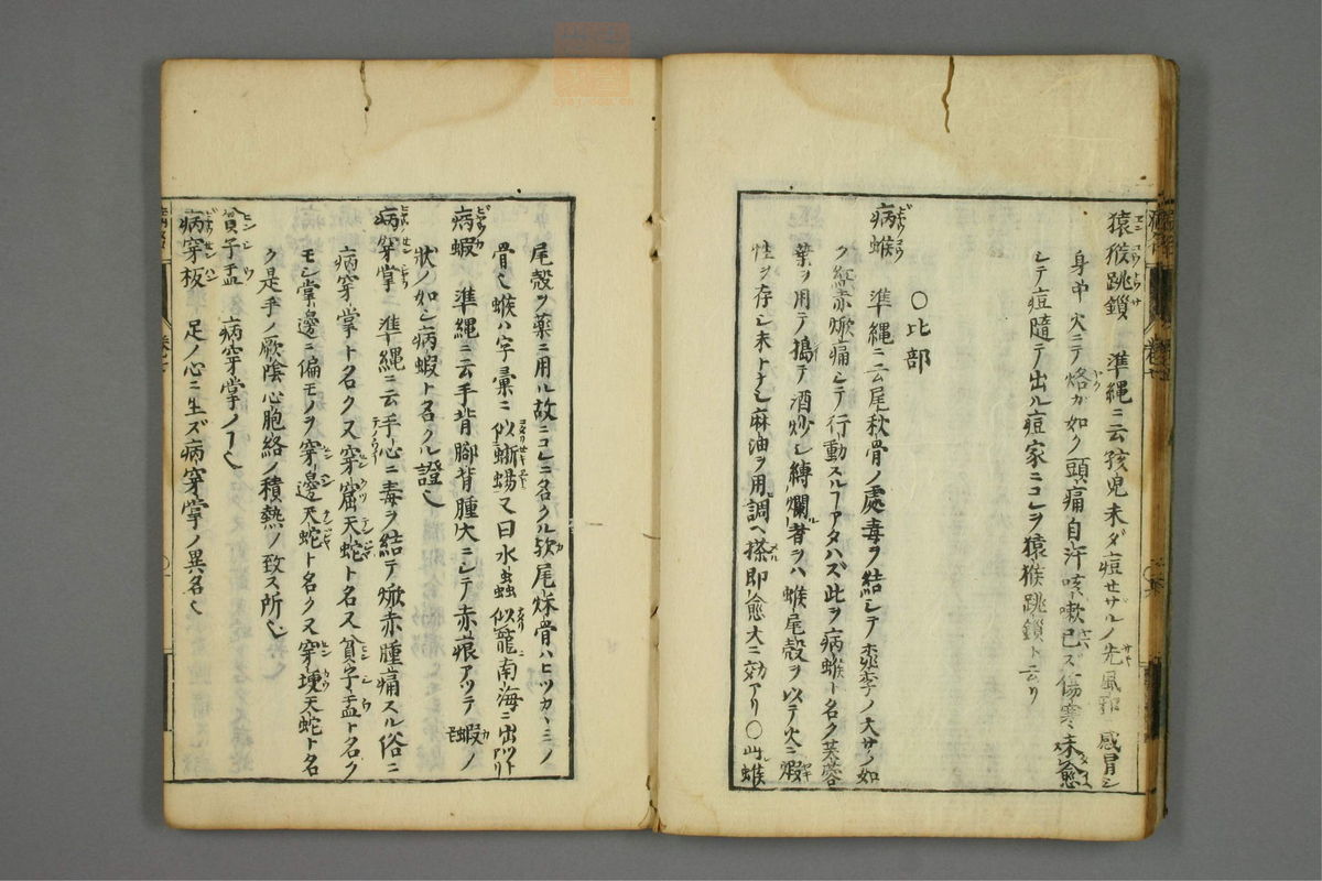 病名汇解(第339页)