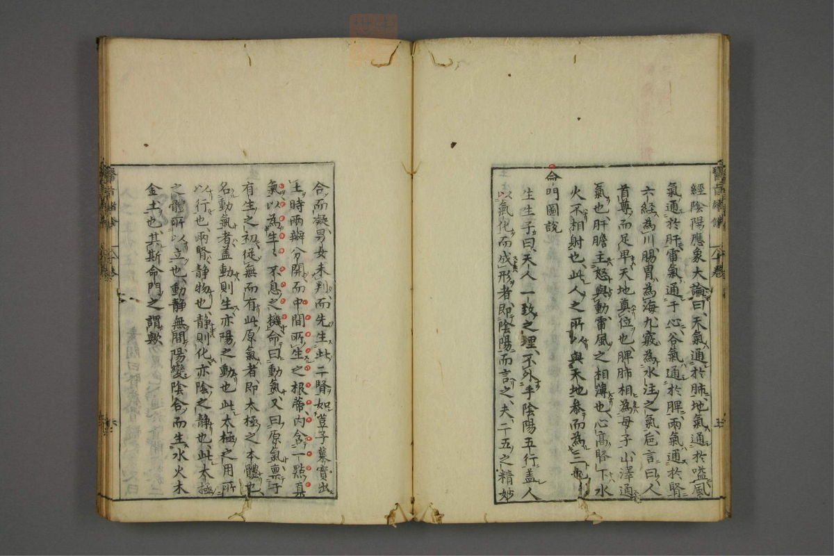 赤水玄珠(医案.第37-50卷)(第523页)