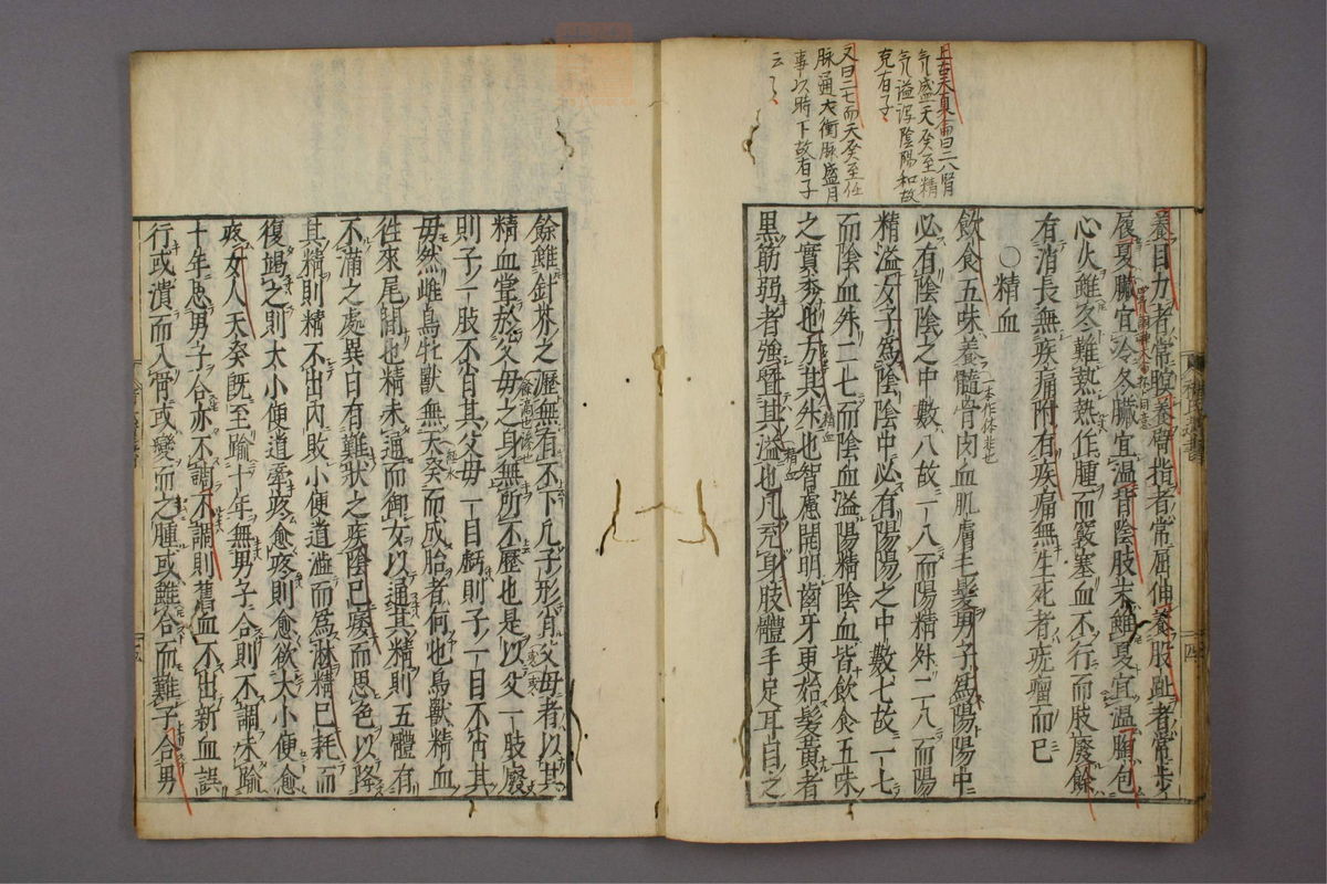 褚氏遗书(第10页)