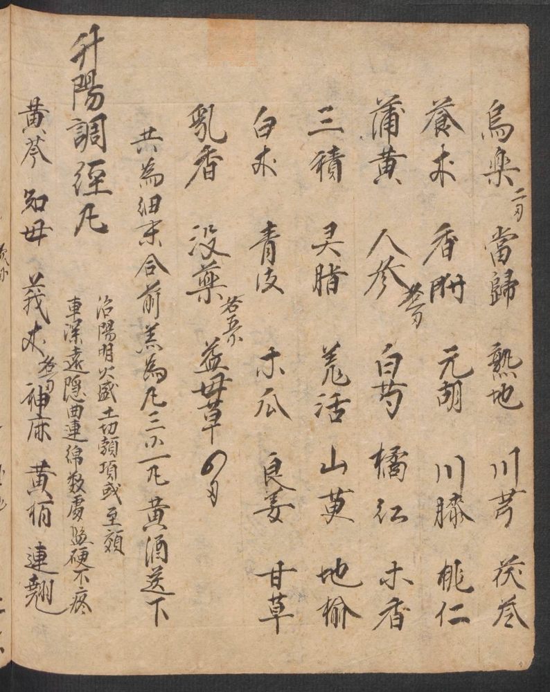 丹字药方本(第154页)