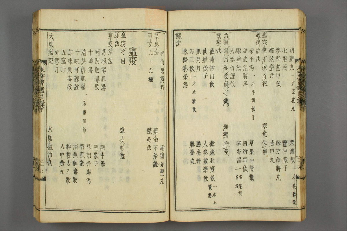 订正东医宝鉴(第102页)