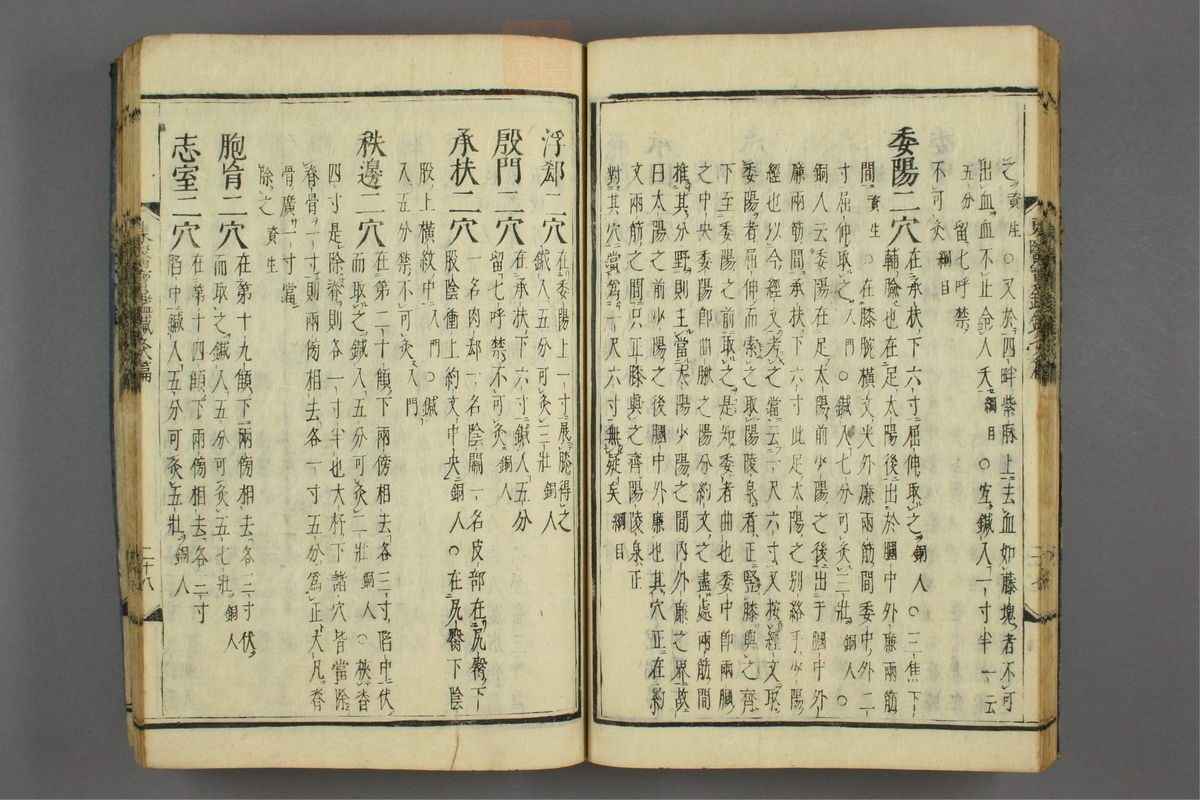 订正东医宝鉴(第1764页)