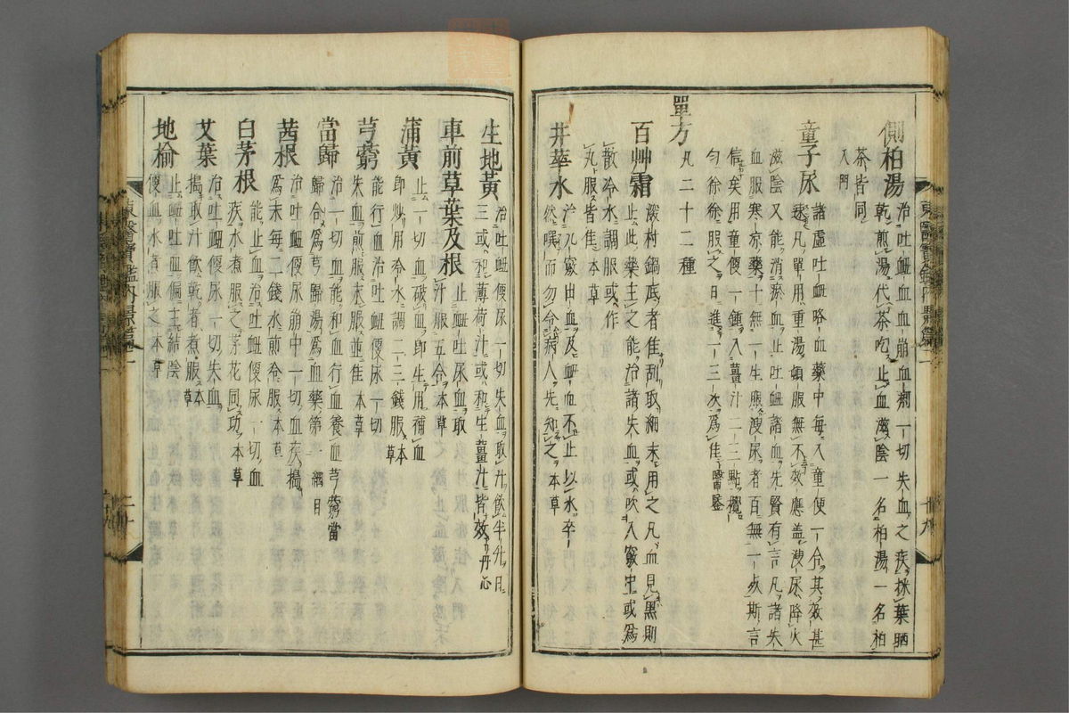 订正东医宝鉴(第256页)