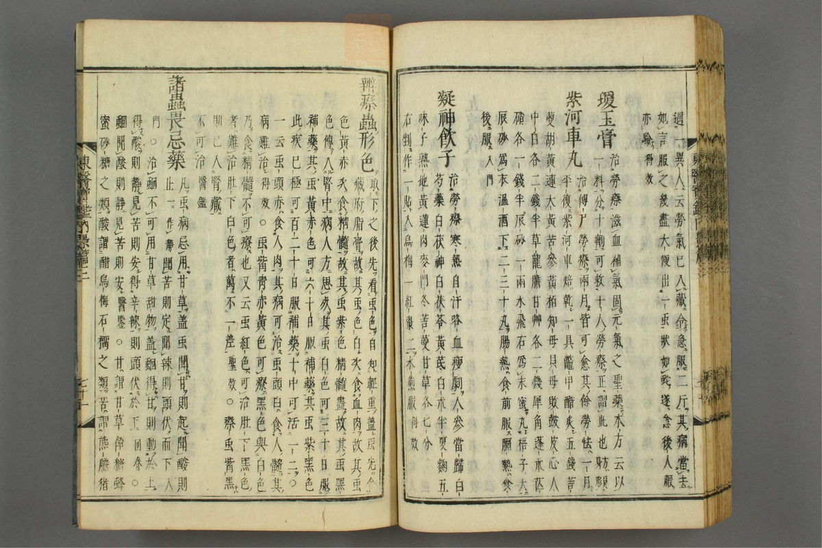 订正东医宝鉴(第378页)