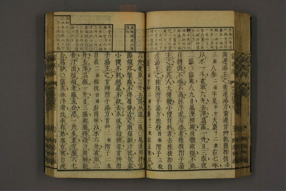 订字标注伤寒论(第78页)