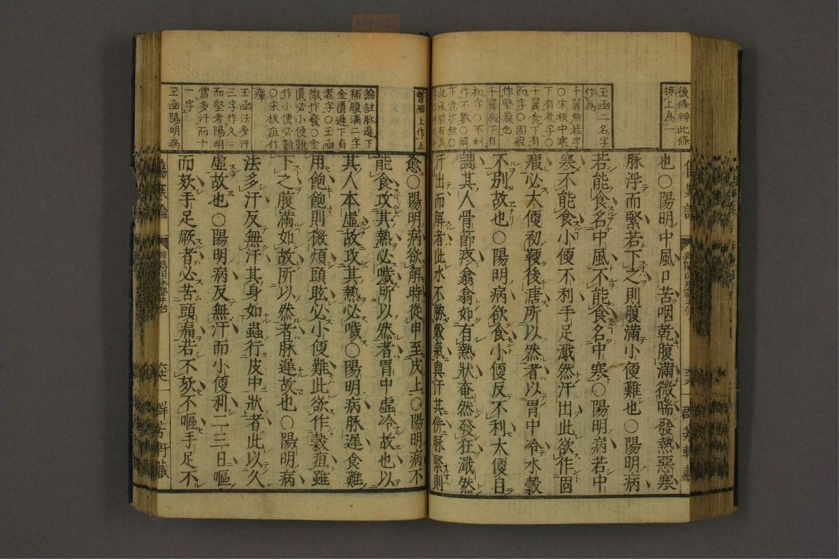 订字标注伤寒论(第81页)