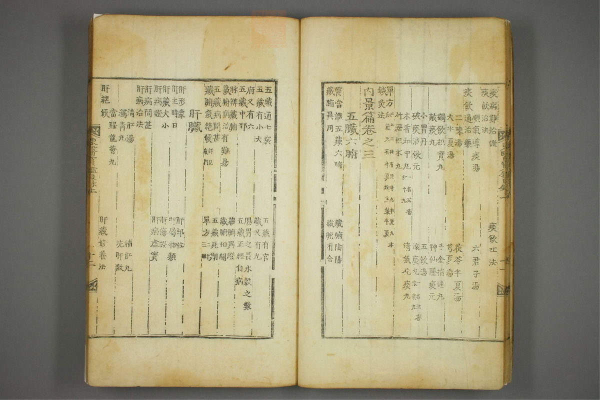 东医宝鉴(第13页)