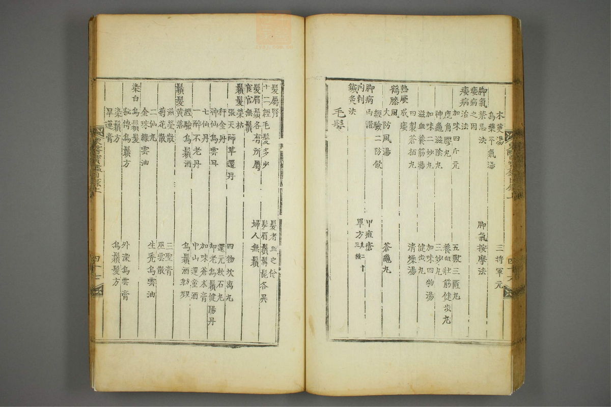 东医宝鉴(第48页)