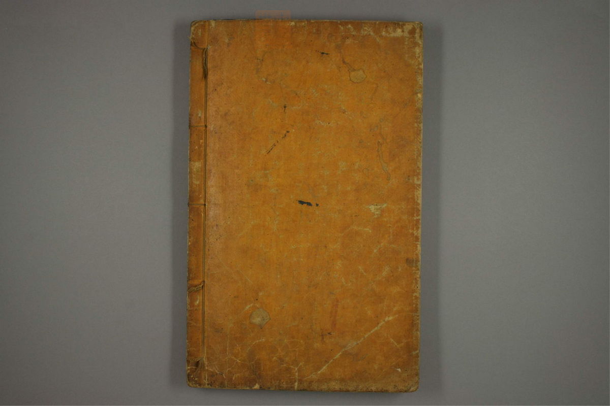 东医宝鉴(第738页)