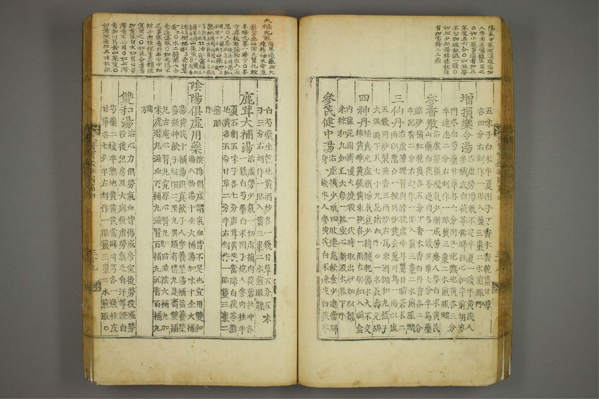 东医宝鉴(第919页)