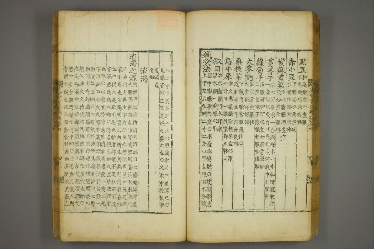 东医宝鉴(第1042页)