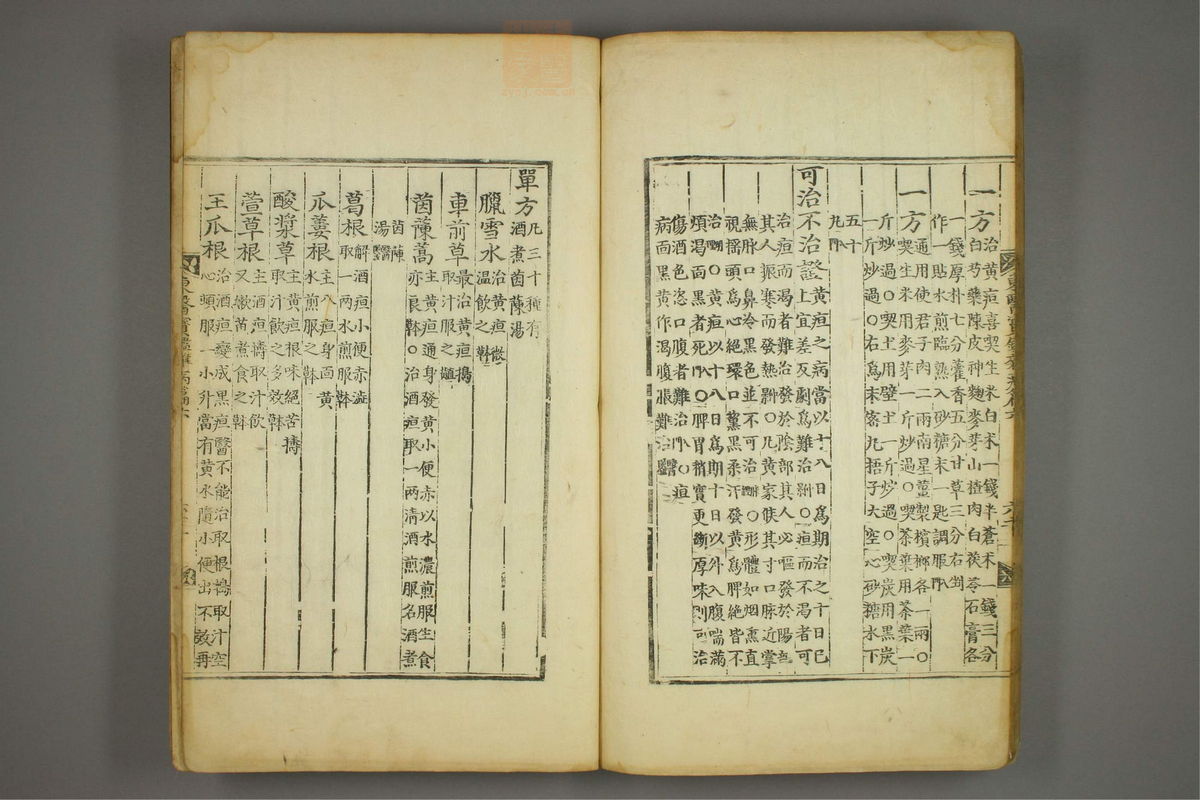 东医宝鉴(第1062页)