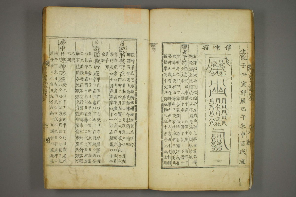 东医宝鉴(第1295页)