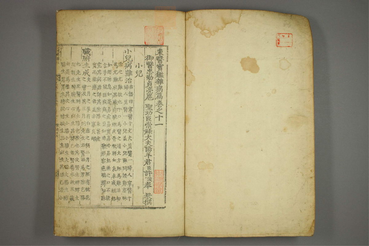 东医宝鉴(第1307页)