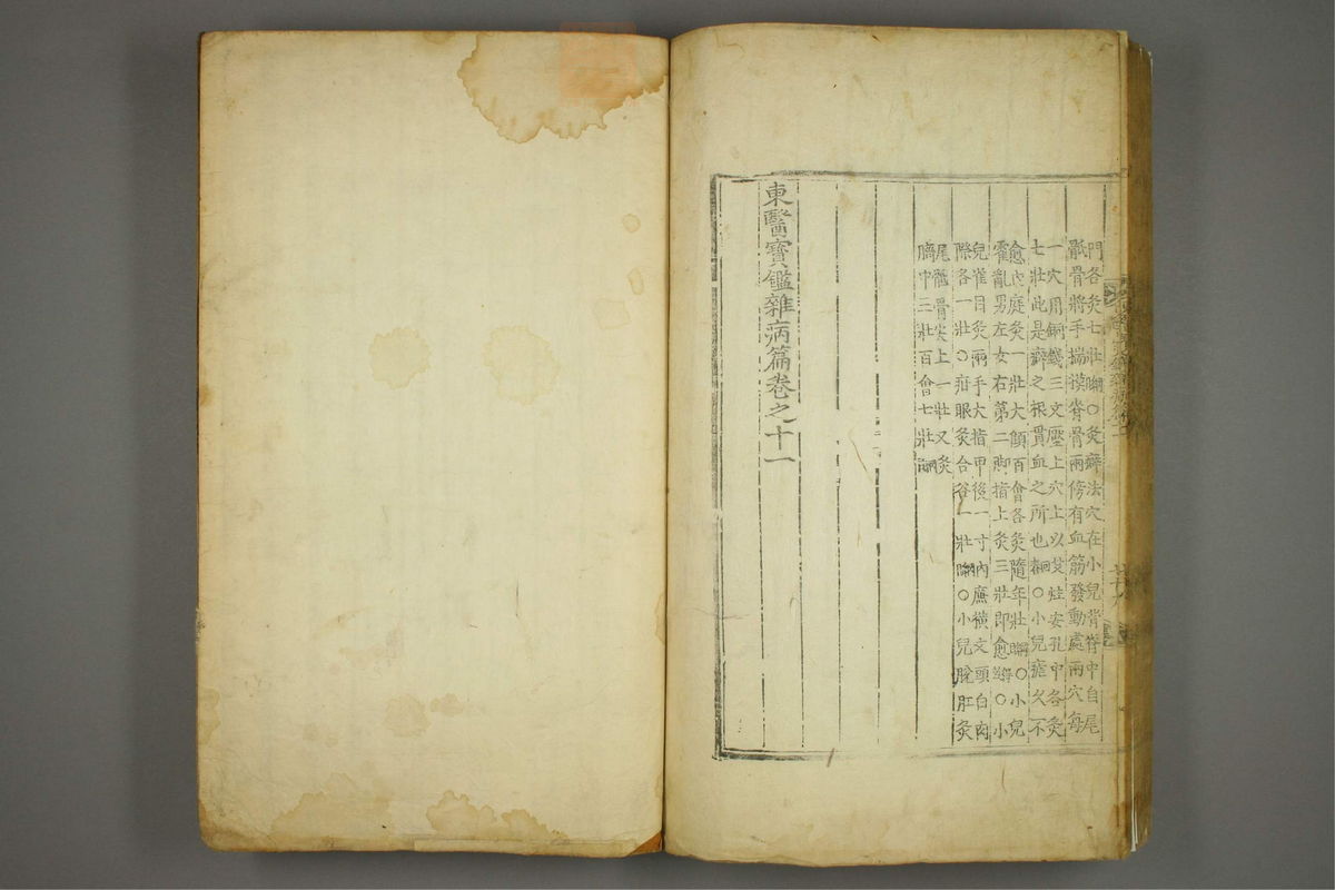 东医宝鉴(第1386页)