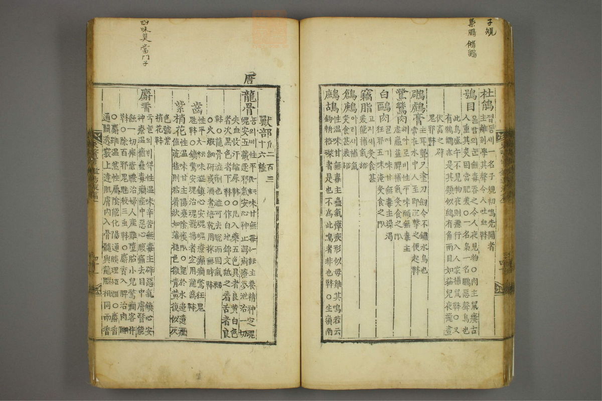 东医宝鉴(第1429页)