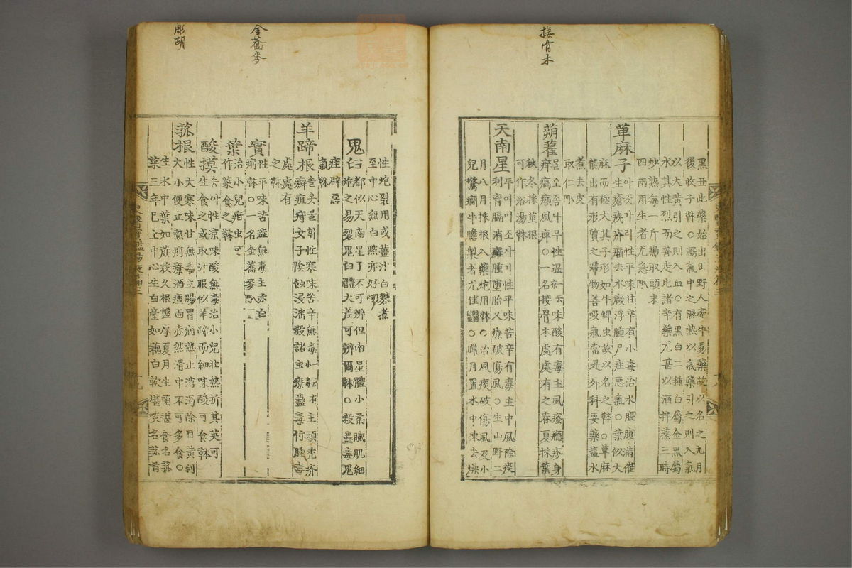 东医宝鉴(第1520页)