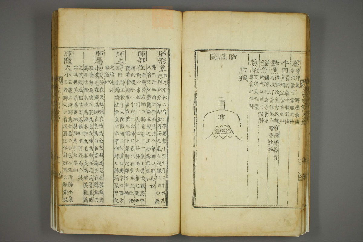 东医宝鉴(第295页)