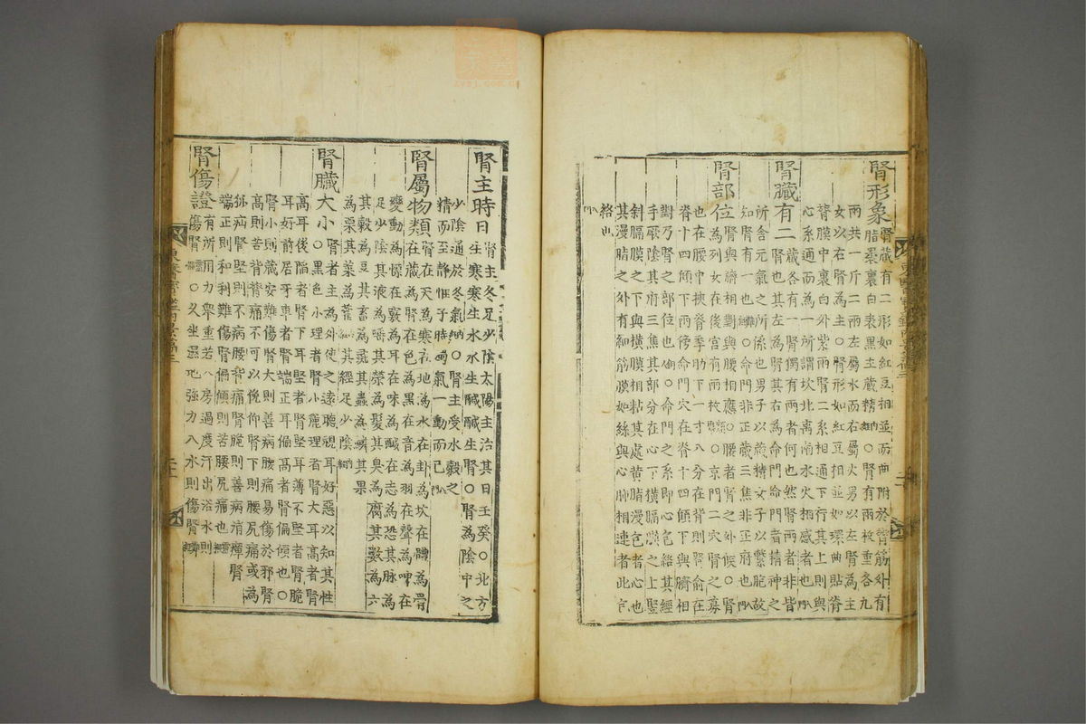 东医宝鉴(第299页)