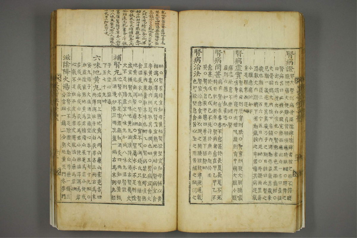 东医宝鉴(第300页)