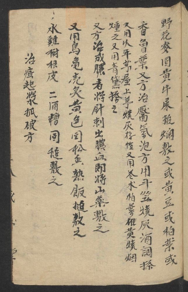 痘科秘诀(第39页)