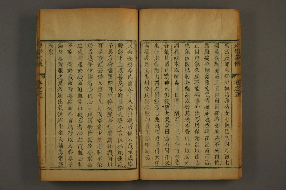 痘学真传(第222页)