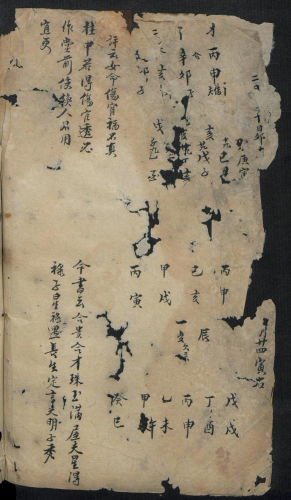 痘疹点烙及诊治(第74页)