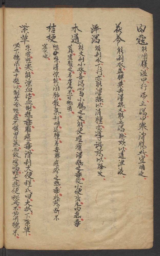 痘疹科3卷(第51页)