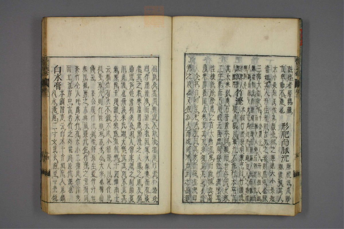 格致余论疏钞(第101页)