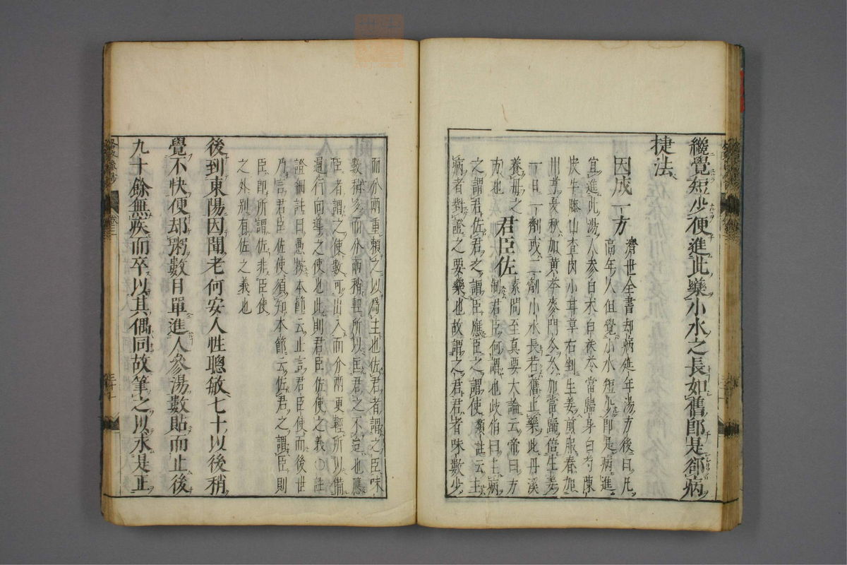 格致余论疏钞(第119页)