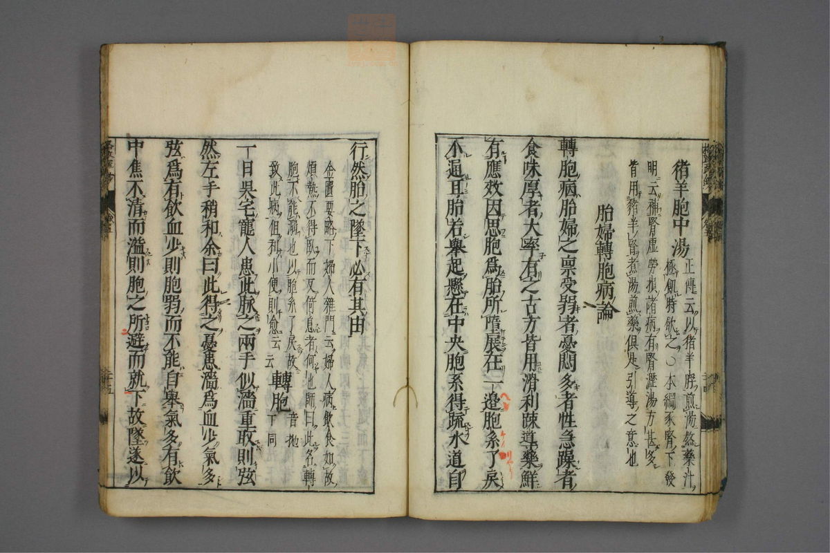 格致余论疏钞(第216页)