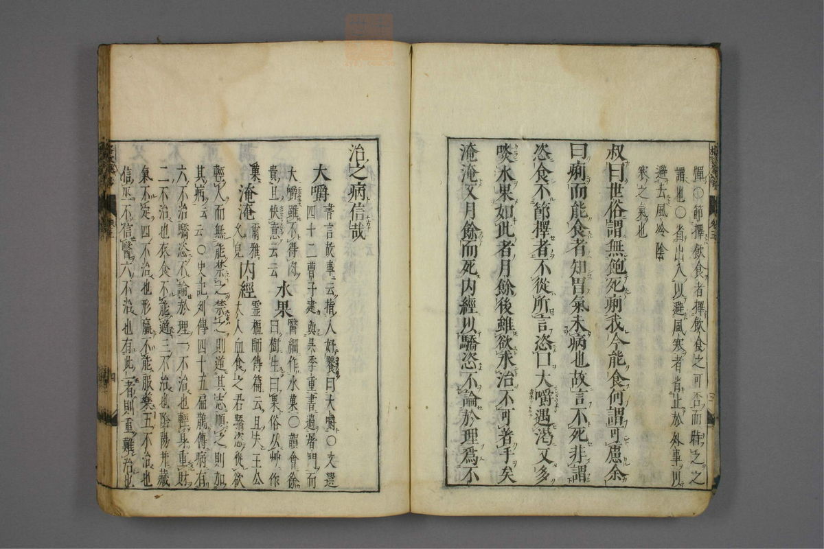 格致余论疏钞(第195页)