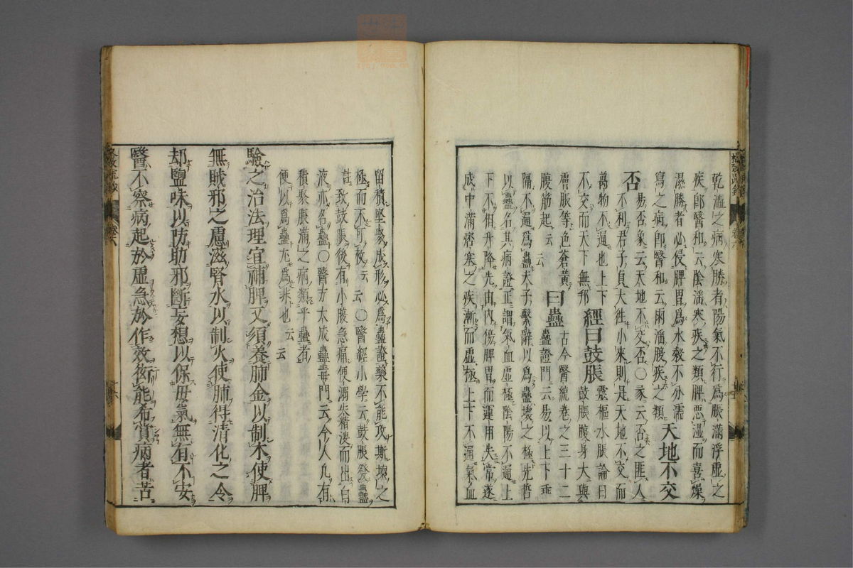 格致余论疏钞(第256页)