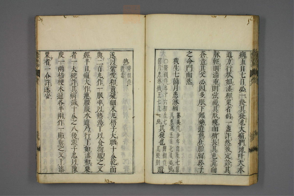 格致余论疏钞(第274页)