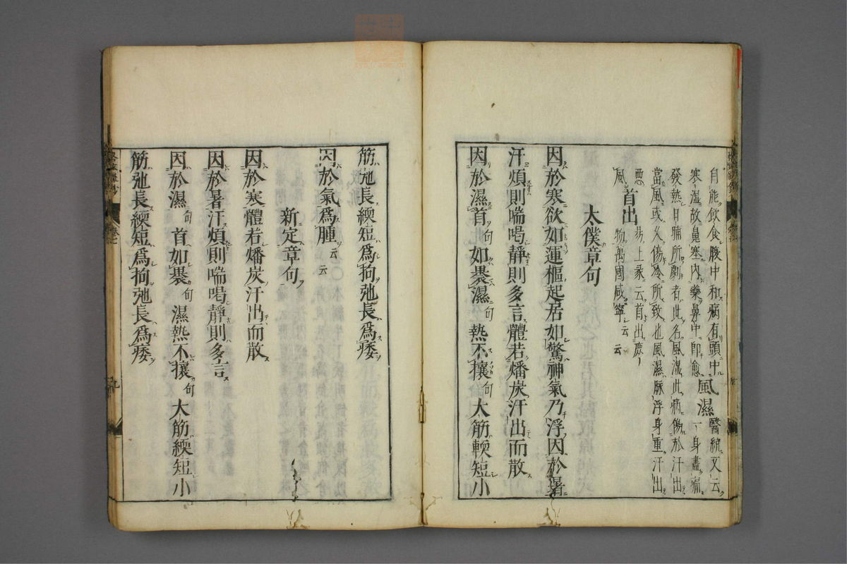 格致余论疏钞(第303页)