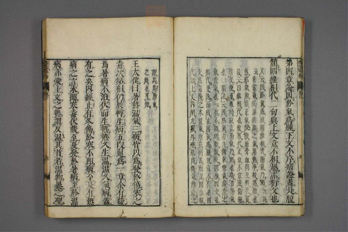 格致余论疏钞(第300页)