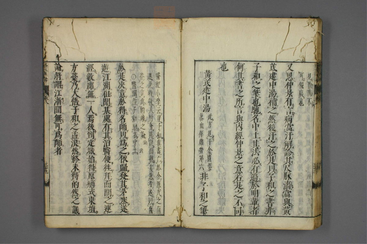 格致余论疏钞(第369页)